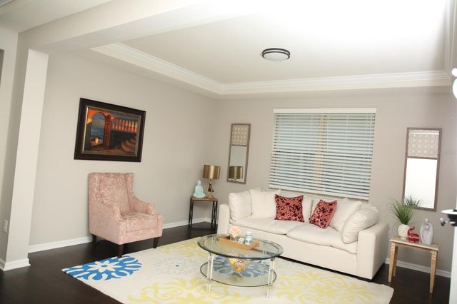 18783 BIRCHWOOD GROVES DRIVE, Lutz, FL 33558