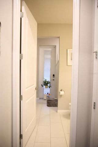 18783 BIRCHWOOD GROVES DRIVE, Lutz, FL 33558