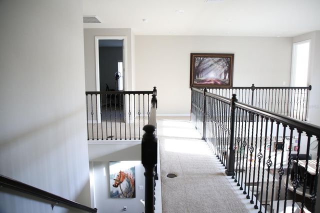 18783 BIRCHWOOD GROVES DRIVE, Lutz, FL 33558