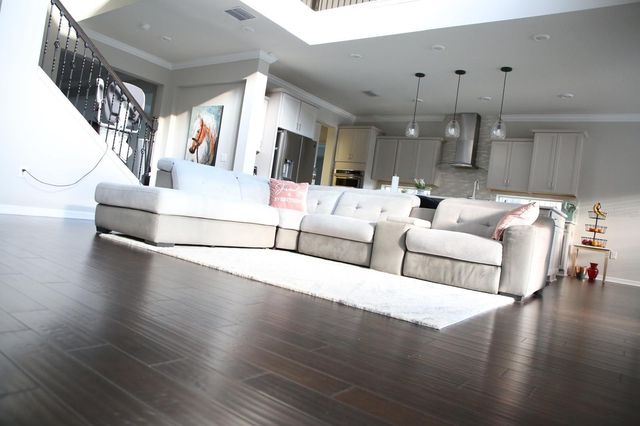 18783 BIRCHWOOD GROVES DRIVE, Lutz, FL 33558