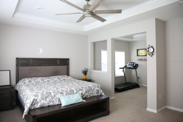 18783 BIRCHWOOD GROVES DRIVE, Lutz, FL 33558