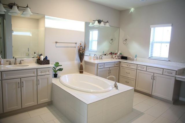 18783 BIRCHWOOD GROVES DRIVE, Lutz, FL 33558