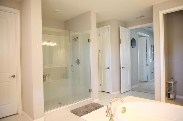 18783 BIRCHWOOD GROVES DRIVE, Lutz, FL 33558