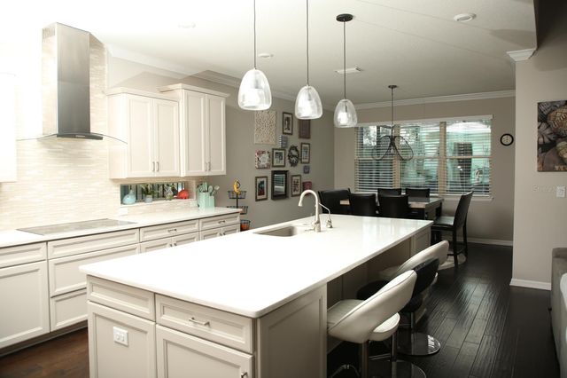 18783 BIRCHWOOD GROVES DRIVE, Lutz, FL 33558