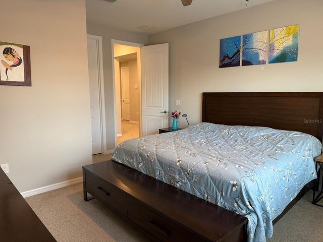 18783 BIRCHWOOD GROVES DRIVE, Lutz, FL 33558