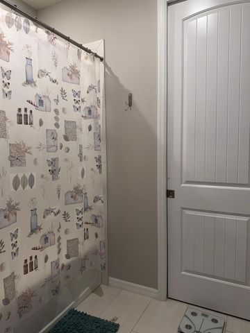 18783 BIRCHWOOD GROVES DRIVE, Lutz, FL 33558