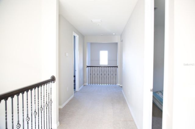 18783 BIRCHWOOD GROVES DRIVE, Lutz, FL 33558