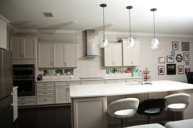 18783 BIRCHWOOD GROVES DRIVE, Lutz, FL 33558