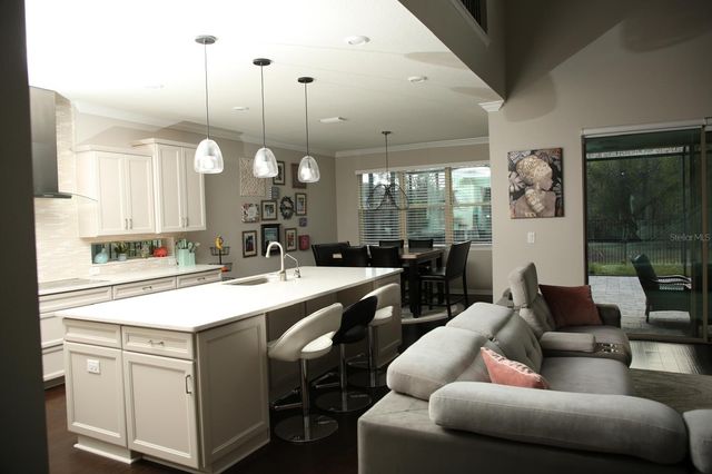 18783 BIRCHWOOD GROVES DRIVE, Lutz, FL 33558