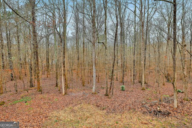 70 Wilkes Court, Newnan, GA 30263