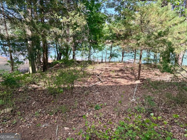 27 Classic Drive, Hartwell, GA 30643