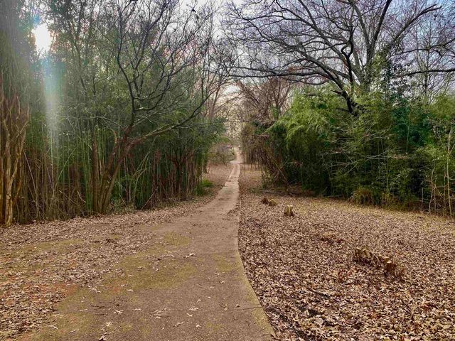 860 ALLEN RD, Williston, TN 38076