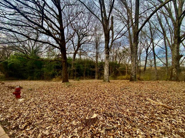 860 ALLEN RD, Williston, TN 38076