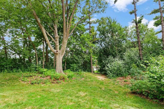 9 Mountain Ash Trail, Madison, WI 53717