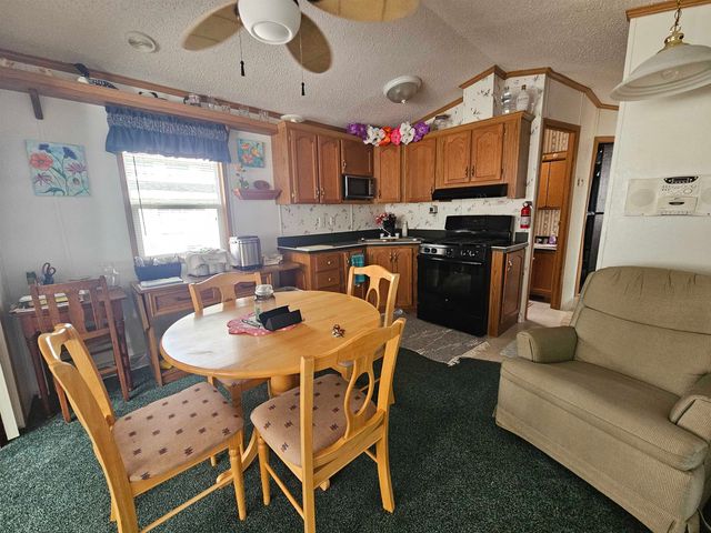 2221 Grass Lake #251 Avenue, Lake, MI 48632