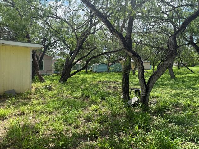 170 Navaho, Sandia, TX 78383