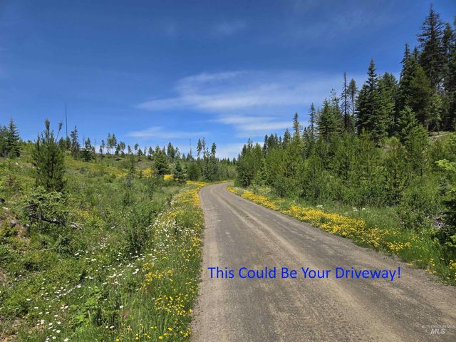 14797 Grangemont Road, Orofino, ID 83544