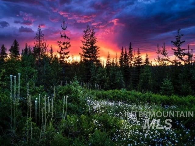 14797 Grangemont Road, Orofino, ID 83544