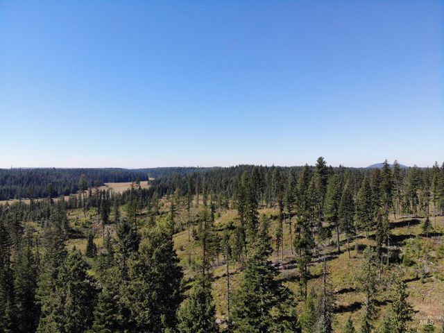 14797 Grangemont Road, Orofino, ID 83544