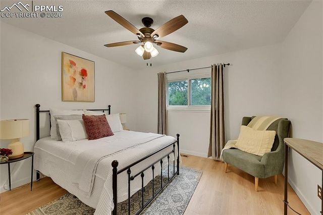 239 Tanna Court, Colorado Springs, CO 80916