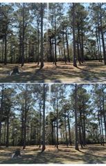 1148 Fiddlehead Way, Myrtle Beach, SC 29579