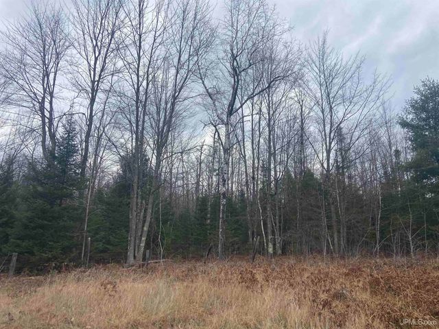 9657 N.5 Road, Gladstone, MI 49837