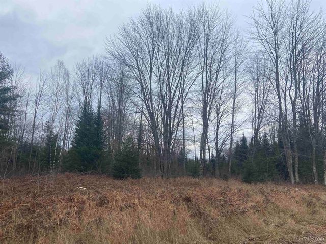 9657 N.5 Road, Gladstone, MI 49837