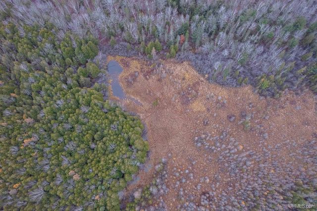 9657 N.5 Road, Gladstone, MI 49837