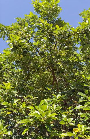 1601 IDLE DRIVE, Clearwater, FL 33756