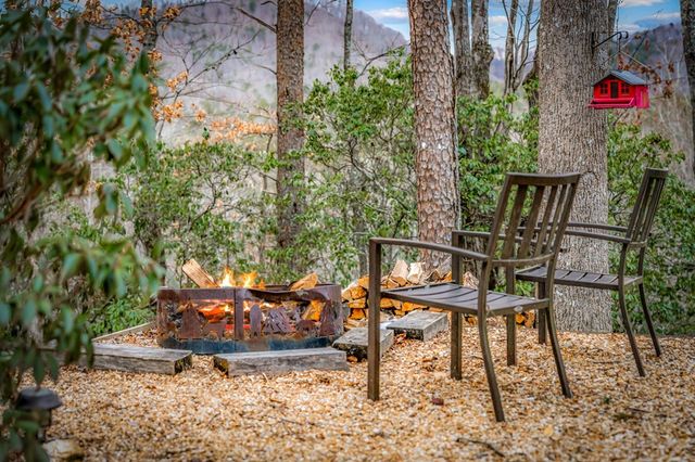 56 Fairy Cross Lane, Mineral Bluff, GA 30559