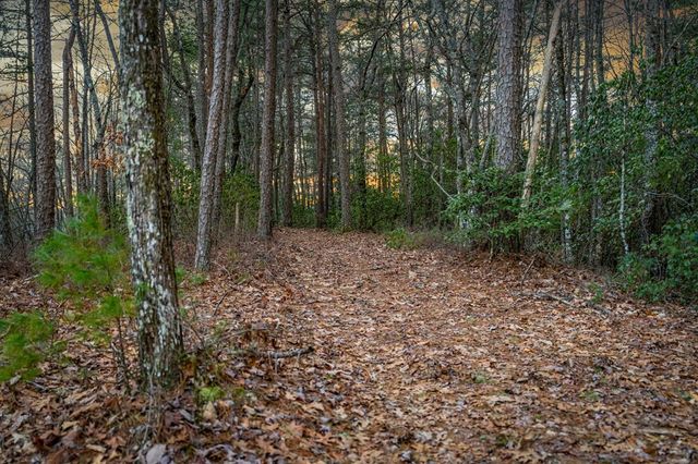 56 Fairy Cross Lane, Mineral Bluff, GA 30559