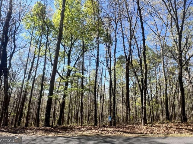 LOT 93 Doll Mountain Road, Ellijay, GA 30540