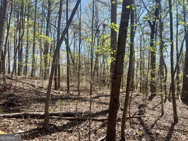 LOT 93 Doll Mountain Road, Ellijay, GA 30540