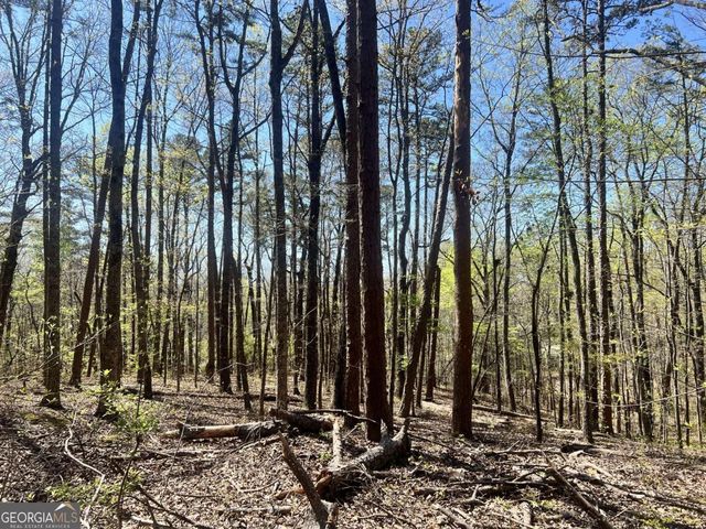 LOT 93 Doll Mountain Road, Ellijay, GA 30540
