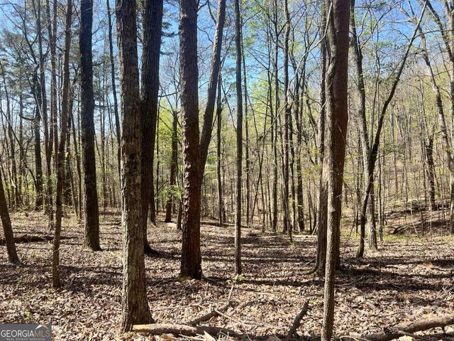 LOT 93 Doll Mountain Road, Ellijay, GA 30540