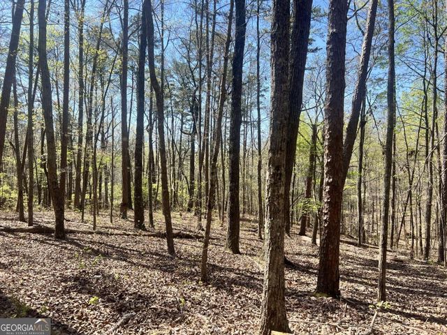 LOT 93 Doll Mountain Road, Ellijay, GA 30540