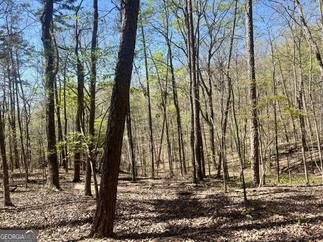 LOT 93 Doll Mountain Road, Ellijay, GA 30540