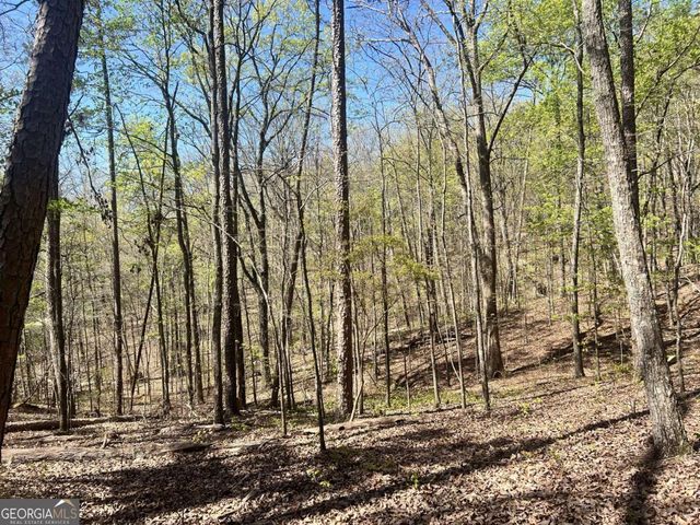 LOT 93 Doll Mountain Road, Ellijay, GA 30540