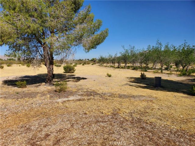 9870 Cody, Lucerne Valley, CA 92356