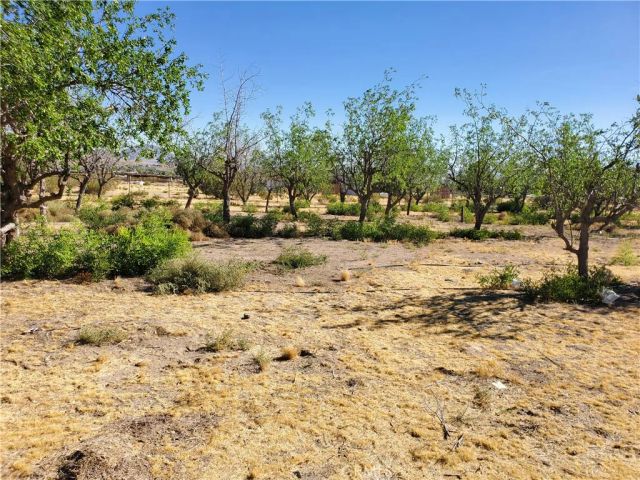9870 Cody, Lucerne Valley, CA 92356