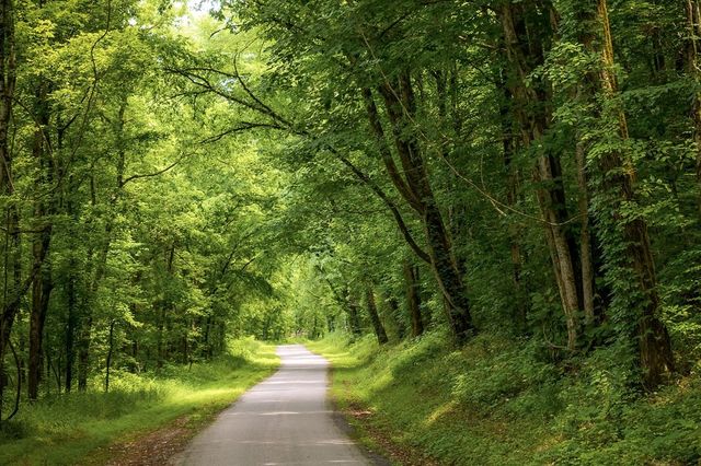 0 Spring Creek Rd, Cookeville, TN 38501