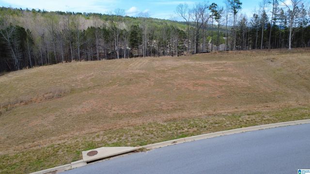335 FOOTHILLS PLACE, Chelsea, AL 35043
