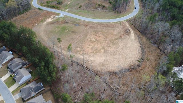 335 FOOTHILLS PLACE, Chelsea, AL 35043