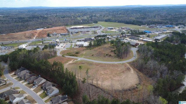 335 FOOTHILLS PLACE, Chelsea, AL 35043