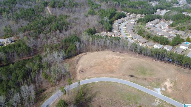 335 FOOTHILLS PLACE, Chelsea, AL 35043