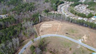 335 FOOTHILLS PLACE, Chelsea, AL 35043
