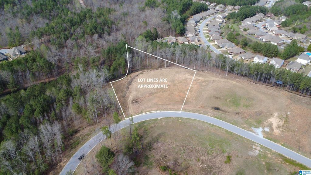 335 FOOTHILLS PLACE, Chelsea, AL 35043