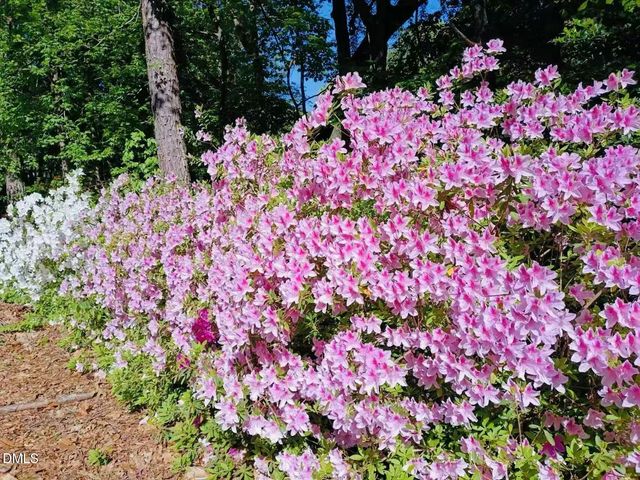 8001 Hawkshead Road, Wake Forest, NC 27587