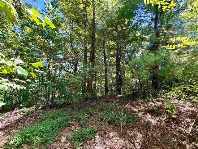 1424 Panther Park Trail, Travelers Rest, SC 29690