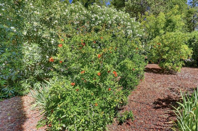 16104 Fairway Glen Pl, Grass Valley, CA 95949